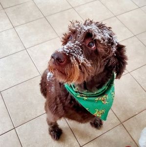 Meet your Posher, Leah